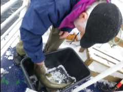 Cod Fishing24